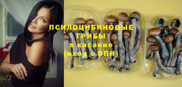 винт Кинешма
