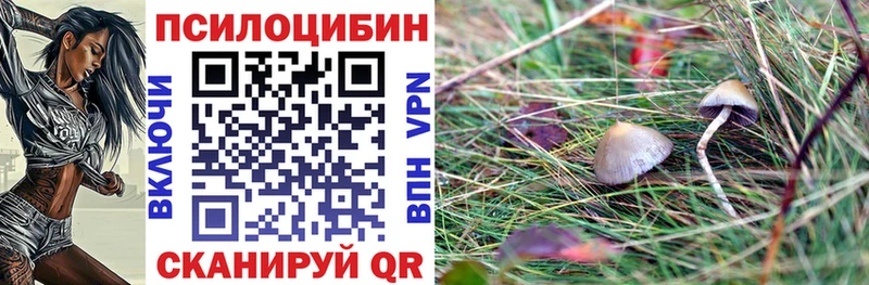 Купить  Гороховец  Псилоцибиновые грибы мицелий 